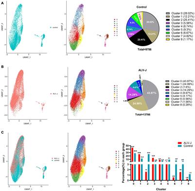 Chicken Peripheral Blood Mononuclear Cells Response to Avian Leukosis Virus Subgroup J Infection Assessed by Single-Cell RNA Sequencing